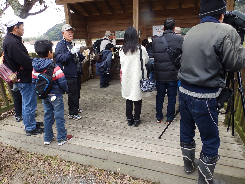 野鳥観察会